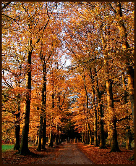 the colours of nature..