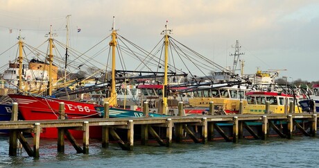 harlingen haven