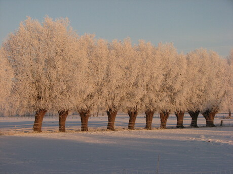 Winterwonderland