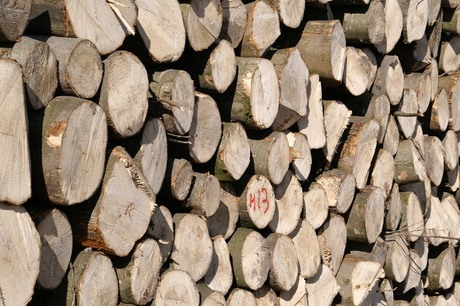 Stapel op hout
