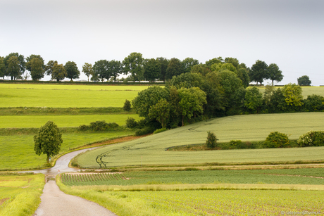 Zuid-Limburg