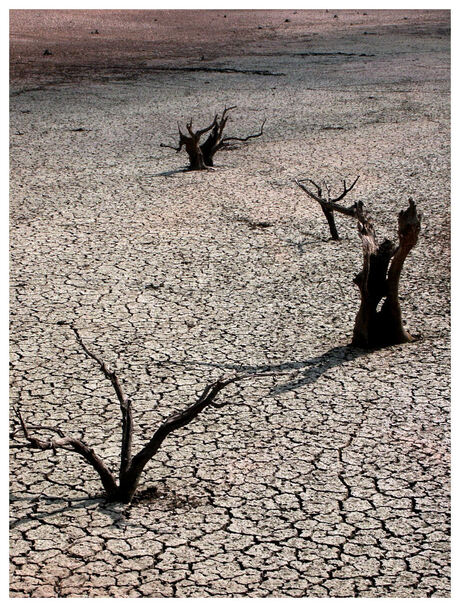 Dry season