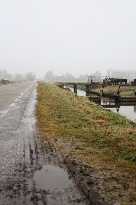 sombere dag in de polder (1)