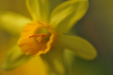 Straight to the Hart!