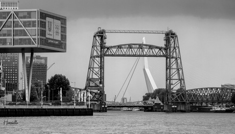 Rotterdam bruggen