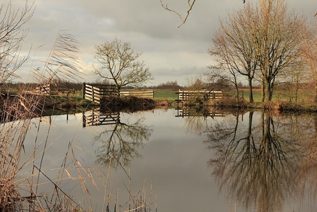 hollandse polder