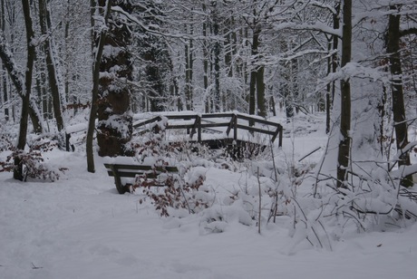 Winter 2010,Bos van over Holland