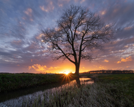 De lucht in vuur en vlam