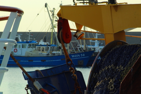 Haven Harlingen 1