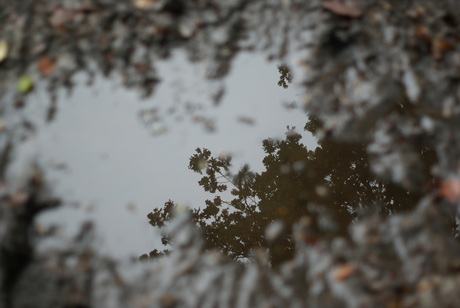 Herfst weerspiegeling