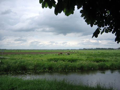 Hollands Landschap