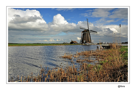 polder landschap