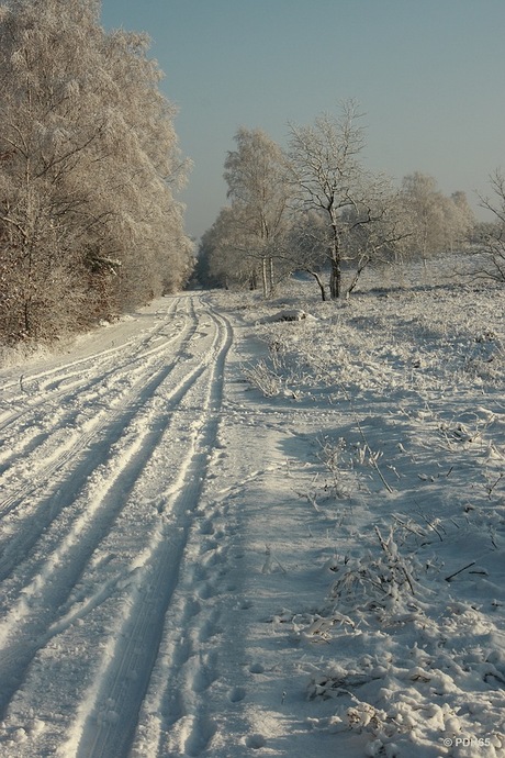 De eerste sneeuw