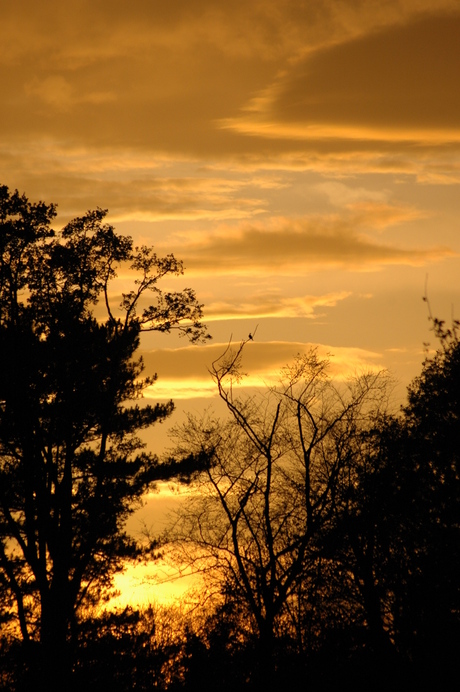 zonsondergang in belgie