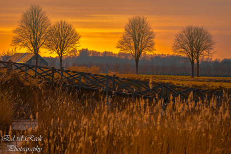 Dutch scenery