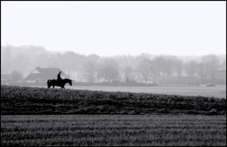 winters contrast ..