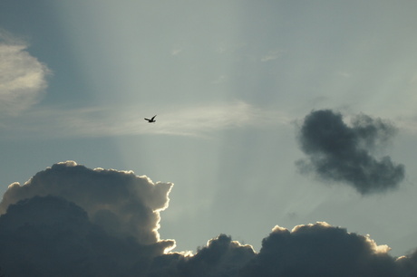 Lucht van Nederland