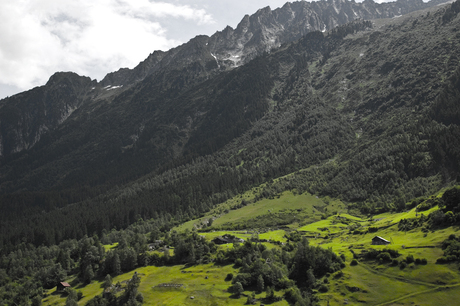 Swiss Alps