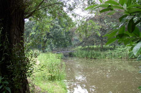vijver met bruggetje in Maarssen