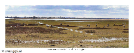 Lauwersmeer