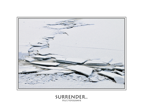 Surrender..
