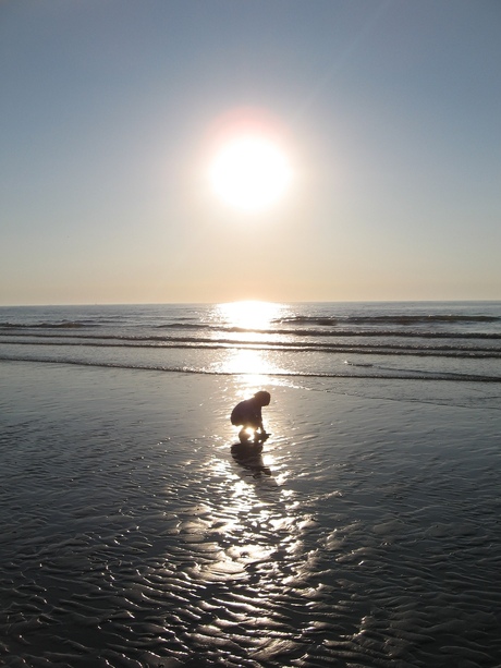 Schelpjes rapen aan het noordzeestrand