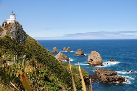 Nugget Point