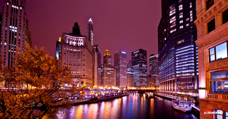 The City of Chicago