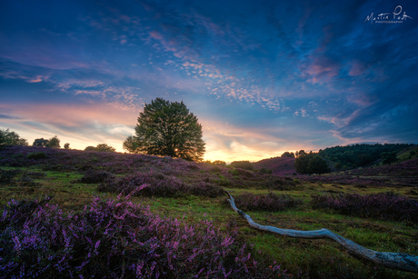 Blue hour