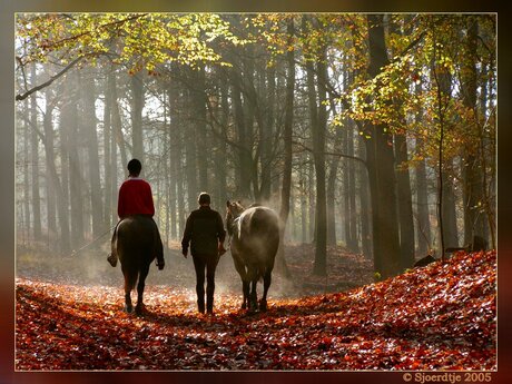 Ochtendwandeling