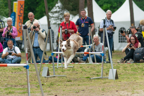 FotoFair 2019