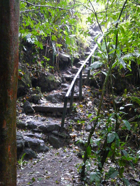Stairway to the Arenal