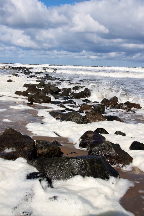 Rocky beach