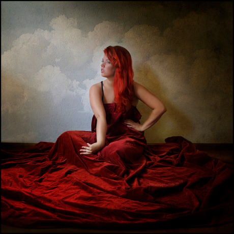 De Rode Loper Kwestie