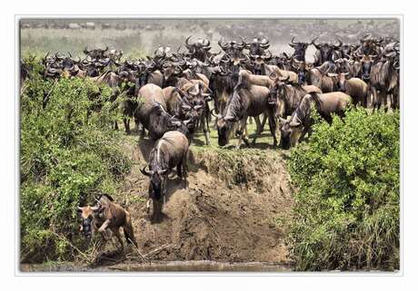 migratie in tanzania