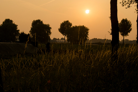 Zomeravond