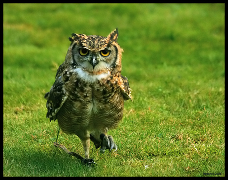 Opgepast snelverkeer