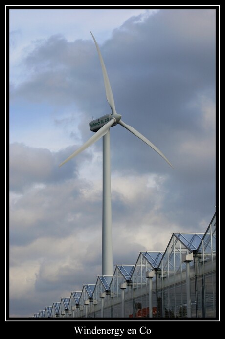 Westland windenergy