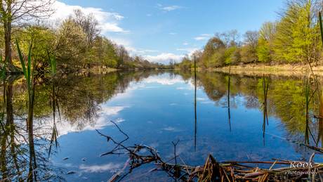 Amsterdamse Waterleidingduinen