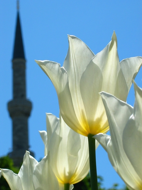 Lente in Istanbul