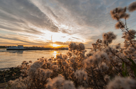 Pluizige zonsondergang