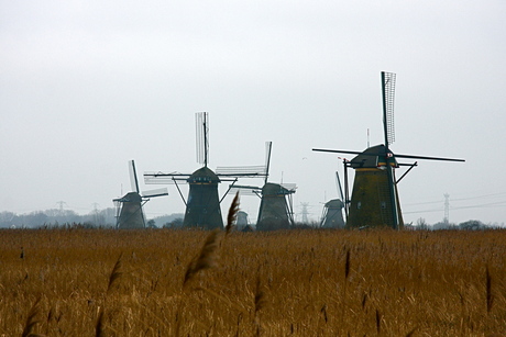 kinderdijk