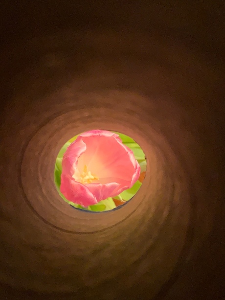 8D58D38C-33E3-4C18-820D-4089375AD6ED