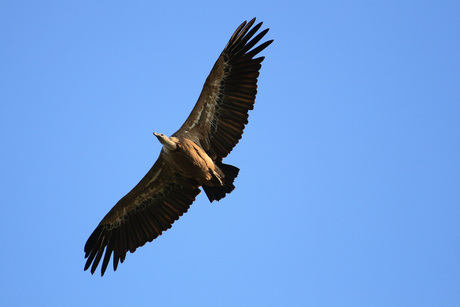 Extremadura 2010