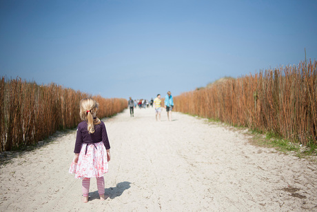 Schiermonnikoog Juni 2013