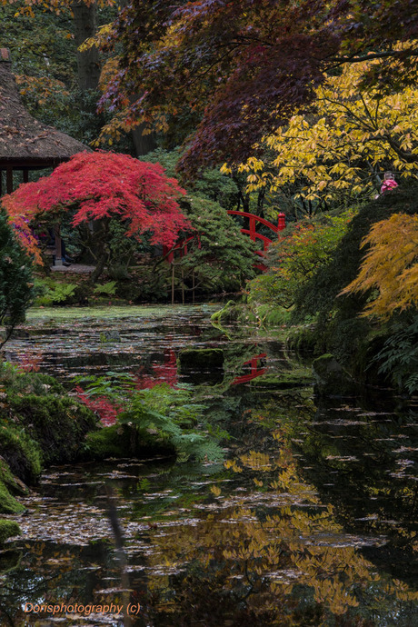 Japanse tuin