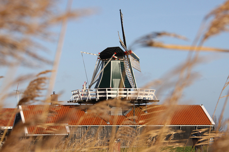 'De Corneliszoon' Uitgeest erfgoedpark de Hoop