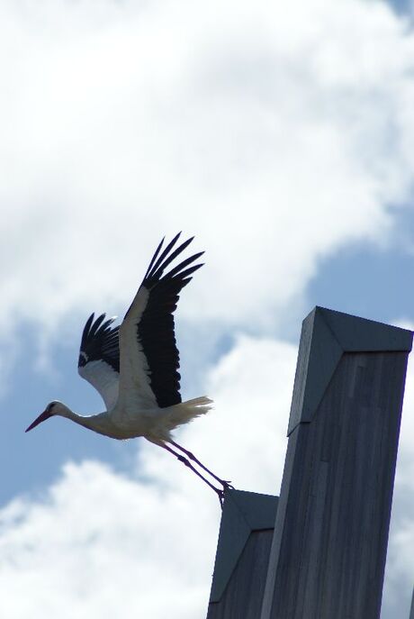 Ready for take-off