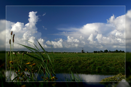 Mooi noordhollands landschap (1)