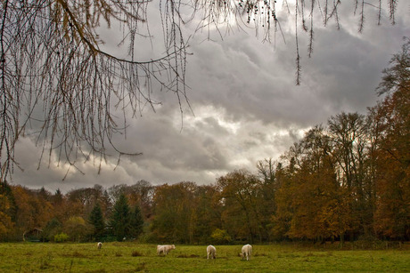 Herfst